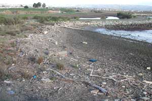 Picture of Trash & Debris along Bay Trail in San Leandro